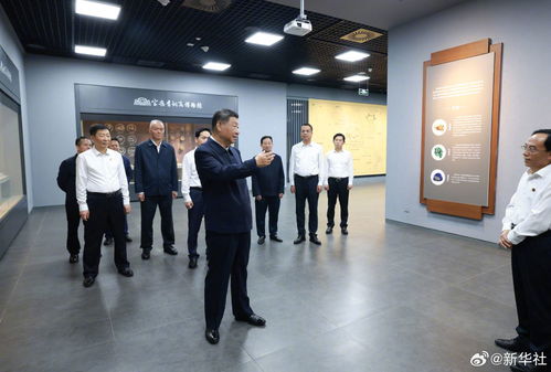 物理學博士游起泳來也 硬核 張朝陽9月15日將橫渡威海海灣