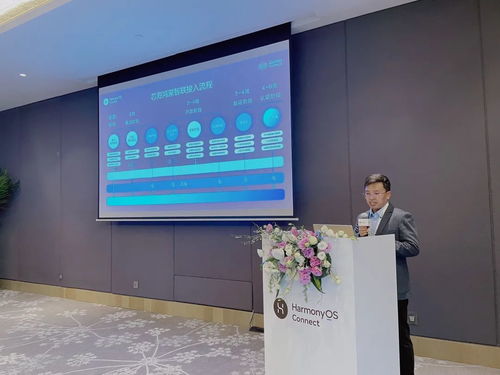 2025年度harmonyos connect伙伴峰會暨芯?？萍挤终搲瘓A滿落幕